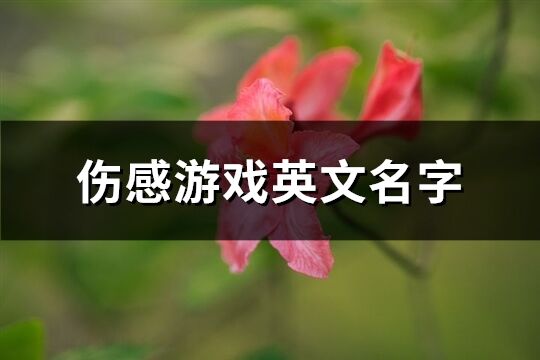 伤感游戏英文名字(138个)