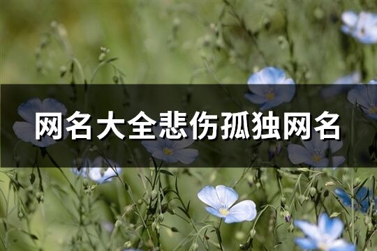 网名大全悲伤孤独网名(共319个)