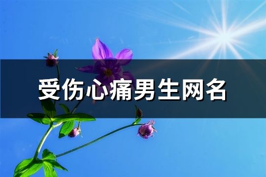 受伤心痛男生网名(精选183个)