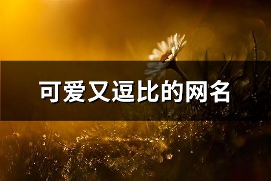 可爱又逗比的网名(283个)