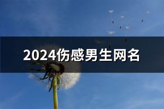 2024伤感男生网名(共121个)