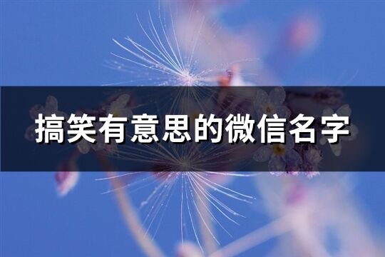 搞笑有意思的微信名字(精选200个)