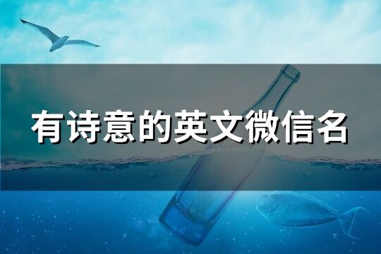 有诗意的英文微信名(精选91个)