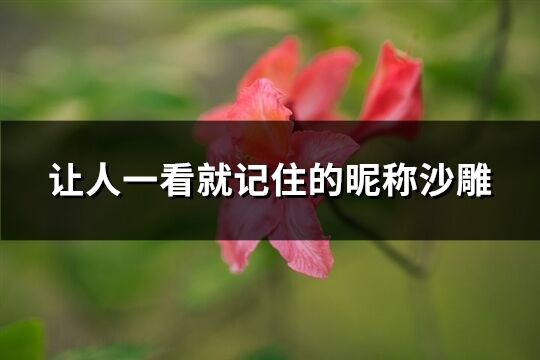 让人一看就记住的昵称沙雕(精选370个)