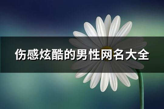 伤感炫酷的男性网名大全(精选779个)