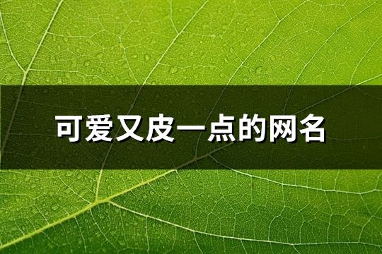 可爱又皮一点的网名(共110个)