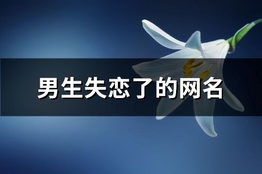 男生失恋了的网名(共181个)