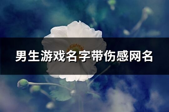 男生游戏名字带伤感网名(精选546个)