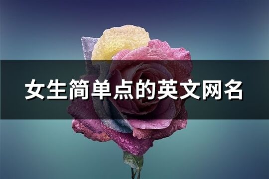 女生简单点的英文网名(共69个)