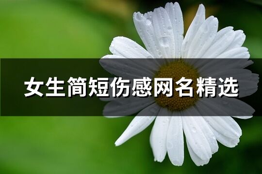 女生简短伤感网名精选(171个)