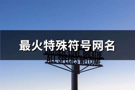 最火特殊符号网名(94个)