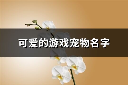 可爱的游戏宠物名字(精选200个)