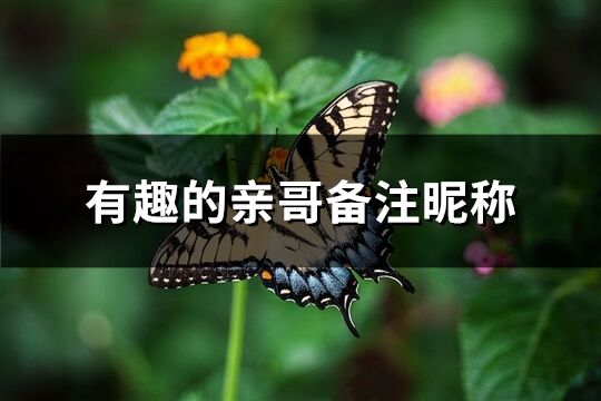 有趣的亲哥备注昵称(共82个)