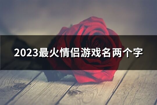 2023最火情侣游戏名两个字(精选363个)