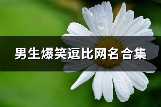 男生爆笑逗比网名合集(539个)