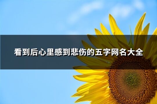 看到后心里感到悲伤的五字网名大全(精选730个)