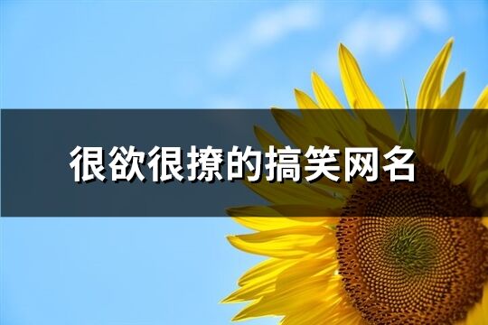 很欲很撩的搞笑网名(122个)