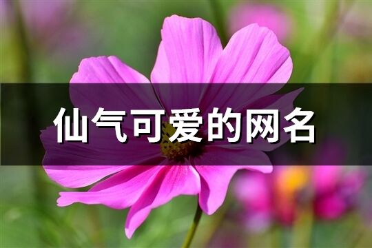 仙气可爱的网名(优选271个)