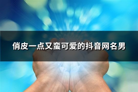 俏皮一点又蛮可爱的抖音网名男(174个)