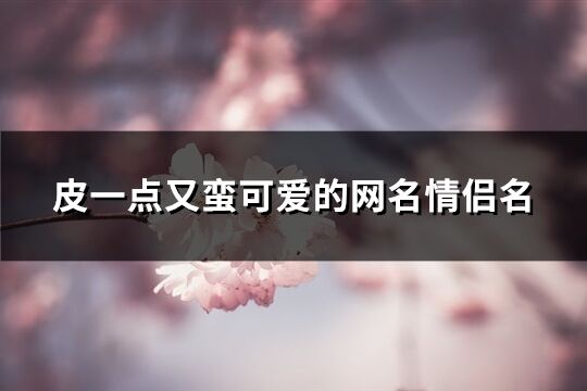 皮一点又蛮可爱的网名情侣名(精选89个)