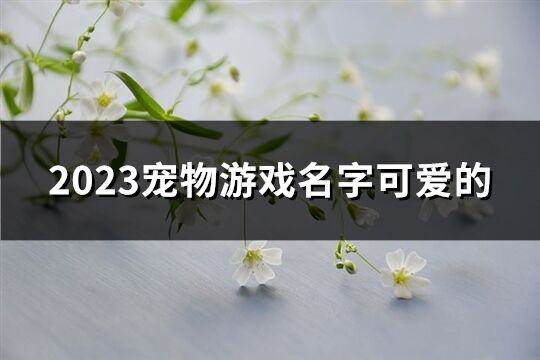 2023宠物游戏名字可爱的(精选62个)