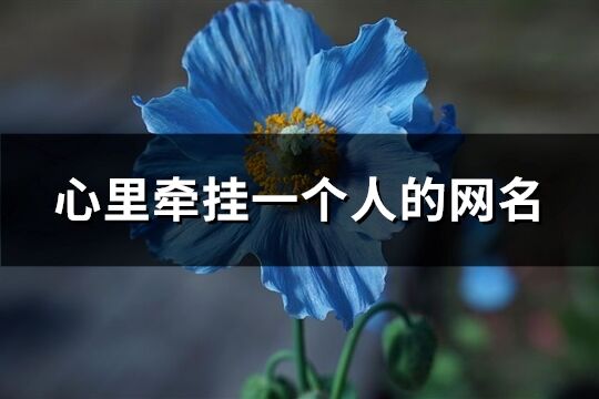 心里牵挂一个人的网名(优选87个)