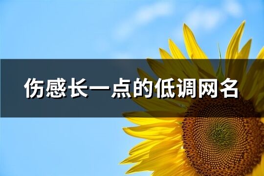 伤感长一点的低调网名(共375个)