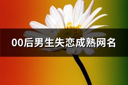 00后男生失恋成熟网名(共236个)