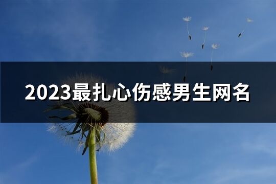 2023最扎心伤感男生网名(精选385个)