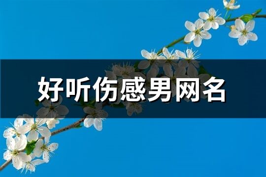 好听伤感男网名(共439个)