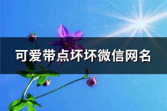 可爱带点坏坏微信网名(共110个)