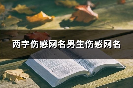 两字伤感网名男生伤感网名(128个)