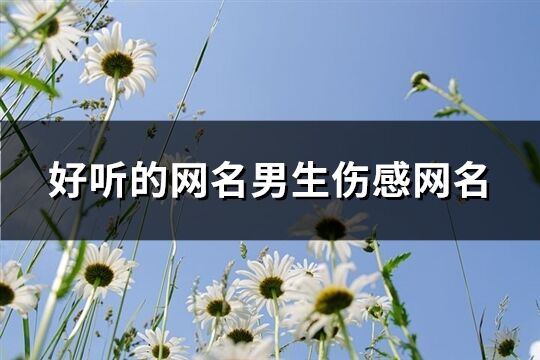 好听的网名男生伤感网名(精选736个)