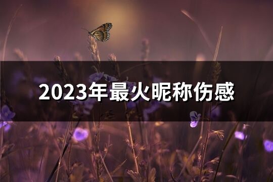 2023年最火昵称伤感(精选690个)