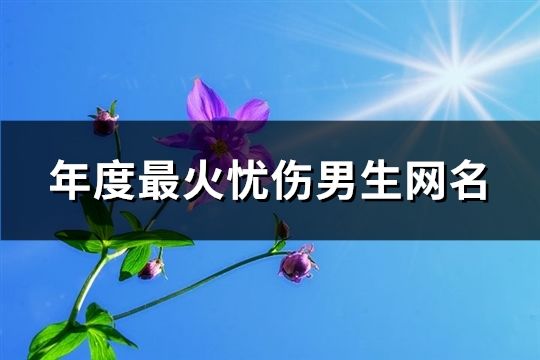 年度最火忧伤男生网名(精选147个)