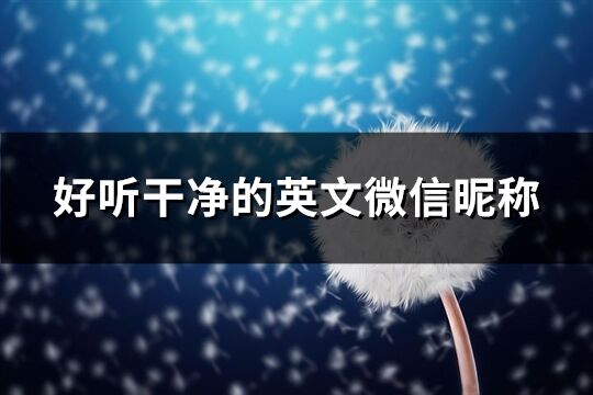 好听干净的英文微信昵称(优选231个)