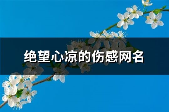 绝望心凉的伤感网名(共253个)