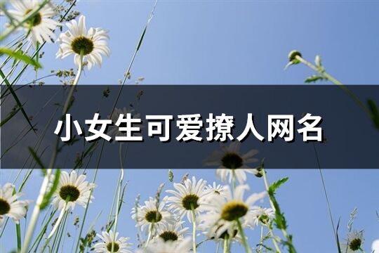 小女生可爱撩人网名(181个)