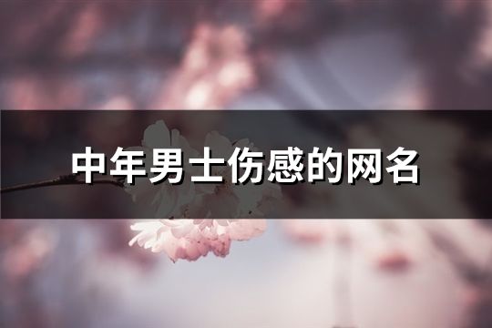 中年男士伤感的网名(共132个)