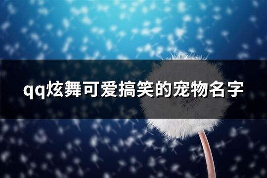 qq炫舞可爱搞笑的宠物名字(共232个)