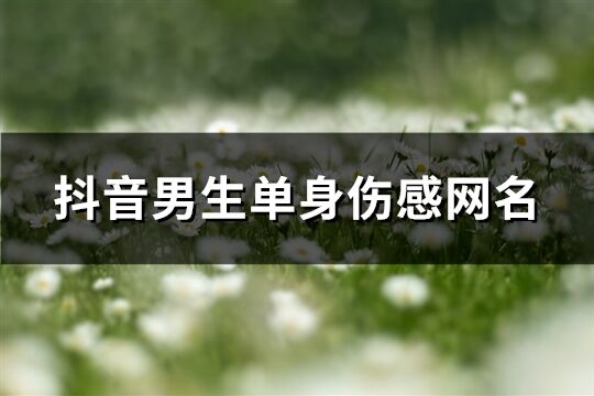 抖音男生单身伤感网名(共380个)