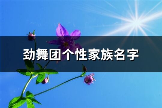 劲舞团个性家族名字(优选88个)