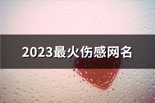 2023最火伤感网名(698个)