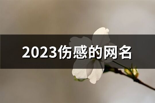 2023伤感的网名(精选324个)