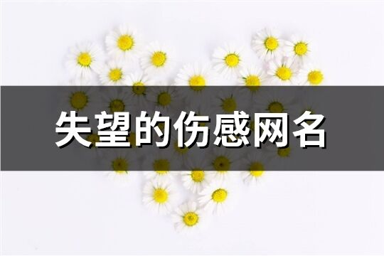 失望的伤感网名(602个)