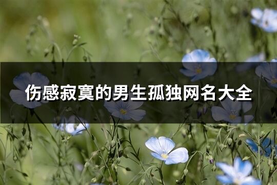 伤感寂寞的男生孤独网名大全(精选530个)