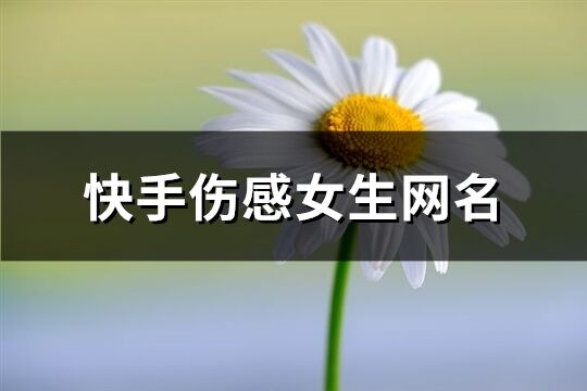 快手伤感女生网名(精选274个)