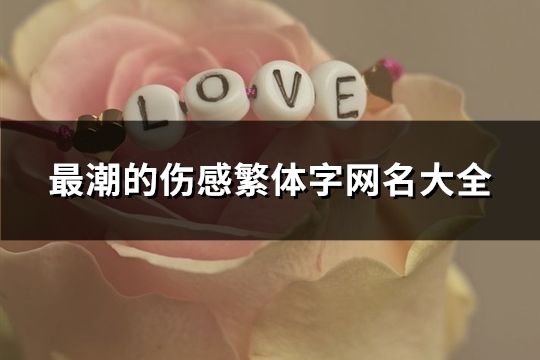 最潮的伤感繁体字网名大全(共108个)