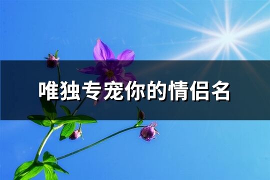 唯独专宠你的情侣名(共169个)