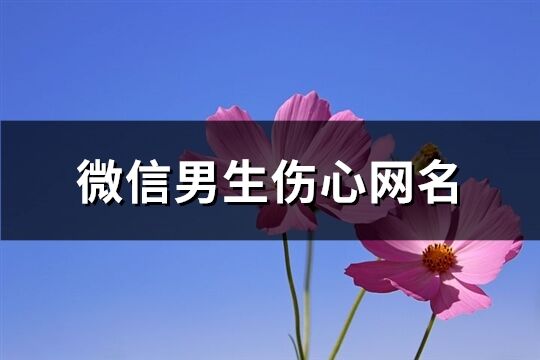 微信男生伤心网名(共347个)